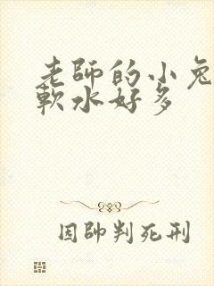 老师的小兔子好软水好多