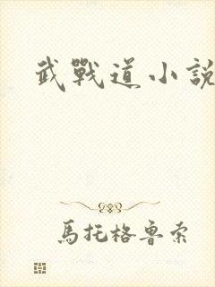 武战道小说