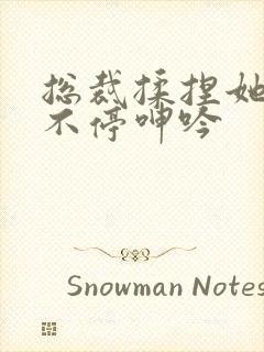 总裁揉捏她两乳不停呻吟