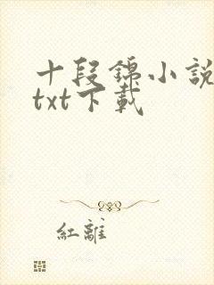 十段锦小说全本txt下载