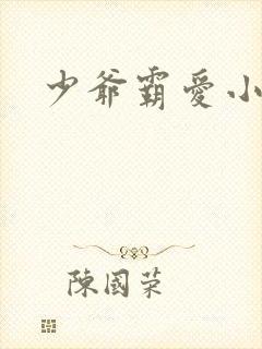 少爷霸爱小丫头