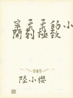 宁柔柔的小泬撑开到极致