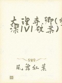 大理寺.卿(双洁1V1破案)