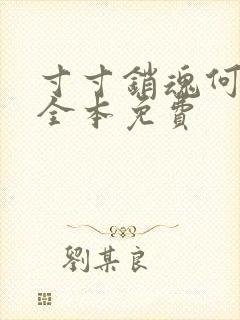 寸寸销魂何生祥全本免费