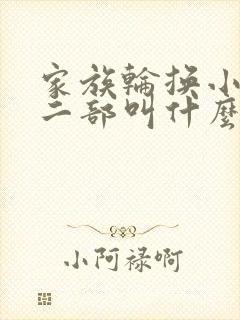 家族轮换小说第二部叫什么名字