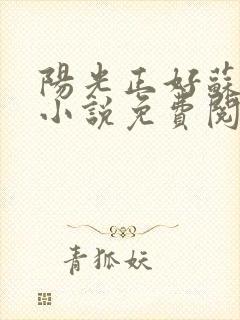 阳光正好苏玥玥小说免费阅读无弹窗