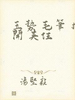 玉势 毛笔 撑开 夹住