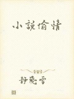 小说偷情