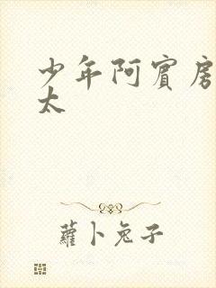 少年阿宾房东太太