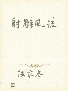 射雕风流