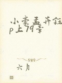 小豪孟卉钰慧三p上79章