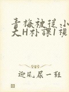青梅被从小摸到大H补课1视频