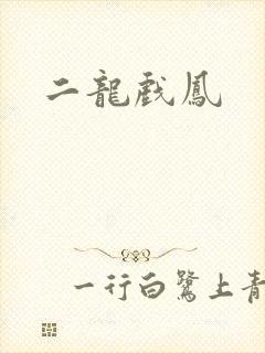 二龙戏凤