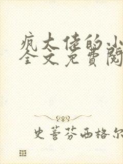 疯大佬的小玩物全文免费阅读小说