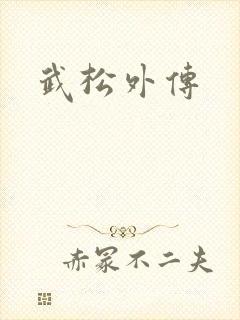 武松外传