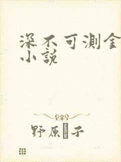 深不可测金银花小说