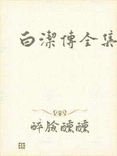 白洁传全集
