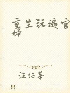 重生玩遍官场贵妇