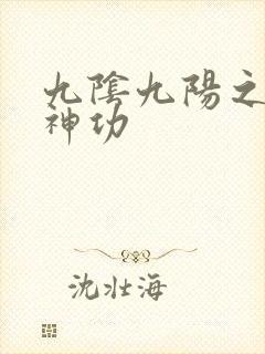 九阴九阳之阴阳神功