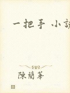 一把手 小说