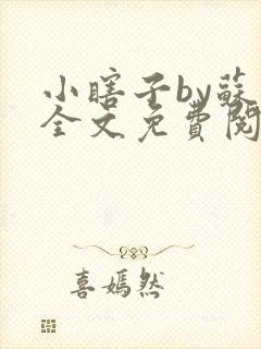 小瞎子by苏软全文免费阅读