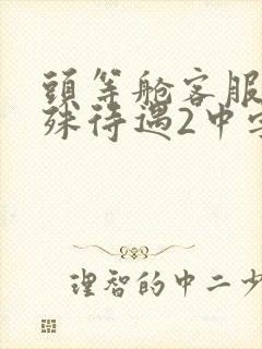 头等舱客服的特殊待遇2中字