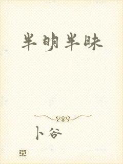 半明半昧