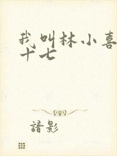 我叫林小喜今年十七