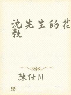 沈先生的花式管教