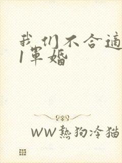 我们不合适1v1军婚