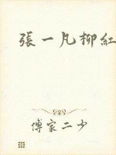 张一凡柳红