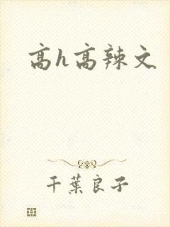 高h高辣文