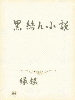 黑丝h小说
