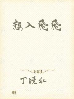 想入飞飞