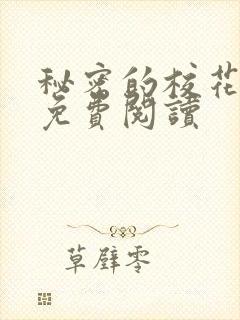 秘密的校花小说免费阅读