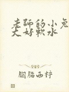 老师的小兔子好大好软水