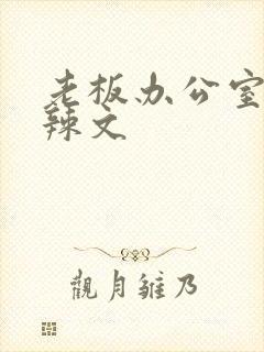 老板办公室系列辣文