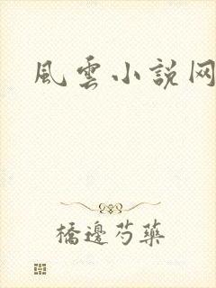 风云小说网