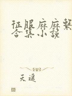 征服麻麻系列大合集小说