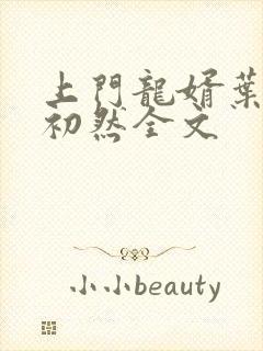 上门龙婿叶辰萧初然全文