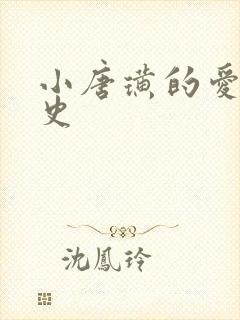 小唐璜的爱情历史