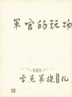军官的玩物