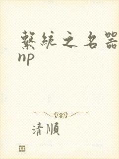 系统之名器攻略np