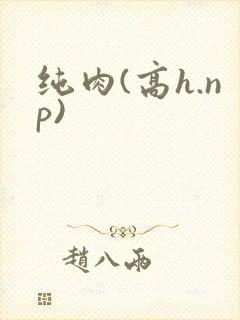 纯肉(高h.np)