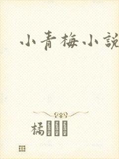 小青梅小说