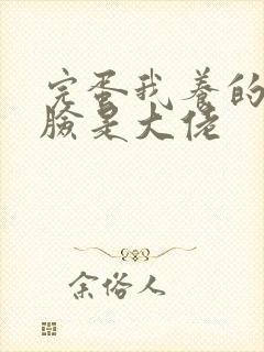 完蛋我养的小白脸是大佬