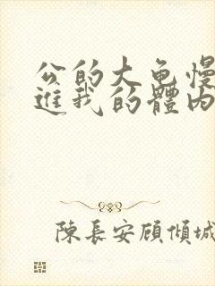 公的大龟慢慢挺进我的体内视频