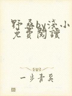 野桑by浅小说免费阅读