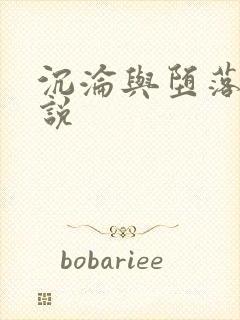 沉沦与堕落的小说