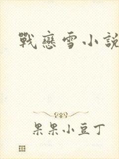 战恋雪小说